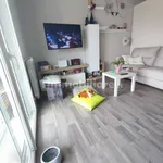 Rent 2 bedroom apartment of 52 m² in Pisa