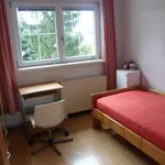 Rent a room in Vienna