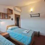 Rent 1 bedroom apartment of 40 m² in Florence