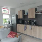 Rent 2 bedroom apartment of 54 m² in De Horn