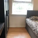 Rent 4 bedroom house in Wolverhampton