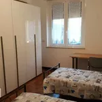 Rent 2 bedroom apartment of 50 m² in Milan