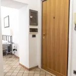 Rent 1 bedroom apartment in rome