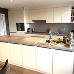 Rent 1 bedroom apartment in Antwerpen