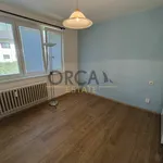 Rent 2 bedroom apartment in Hodonín