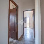 Rent 3 bedroom apartment of 94 m² in Selci