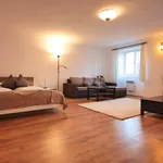 Rent 1 bedroom apartment in Prague