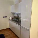 Rent 2 bedroom apartment of 60 m² in Turin