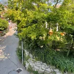 Rent 2 bedroom apartment of 60 m² in Baveno