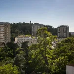 Rent 6 bedroom apartment in Lisbon