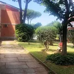 Rent 3 bedroom apartment of 55 m² in Ravenna