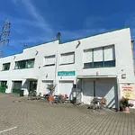 Rent 1 bedroom apartment in Krefeld