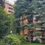 Rent 2 bedroom apartment of 60 m² in Milano