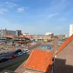 Rent 2 bedroom apartment of 55 m² in 's-Gravenhage