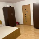 Rent 1 bedroom apartment in Craiova