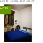 Rent 2 bedroom house of 60 m² in Novara