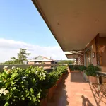 Rent 3 bedroom apartment of 150 m² in Rome