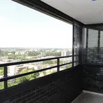 Rent 3 bedroom apartment of 98 m² in Leiden