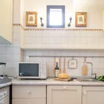 Rent 2 bedroom apartment of 45 m² in Florence