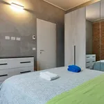 Rent 1 bedroom apartment in milan