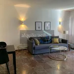 Rent 1 bedroom apartment of 100 m² in Malaga