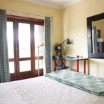 Rent a room in lisbon