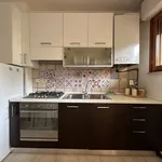 Rent 3 bedroom apartment of 65 m² in Pisa