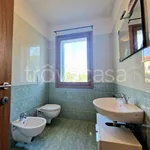 Rent 2 bedroom apartment of 59 m² in Pianiga