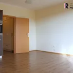 Pronajměte si 1 ložnic/e byt o rozloze 35 m² v Karlovy Vary