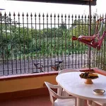 2-room flat via delle Rose, Marina Di Santa Maria Del Cedro, Santa Maria del Cedro