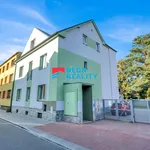 Rent 1 bedroom apartment in Ostrava