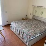 Rent 3 bedroom apartment of 75 m² in Arzachena