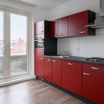 Rent 3 bedroom apartment of 64 m² in Leiden