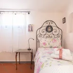 Rent 2 bedroom apartment of 45 m² in Florence