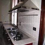 Rent 5 bedroom apartment of 250 m² in Bologna