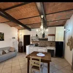 Rent 2 bedroom apartment of 60 m² in Grosseto