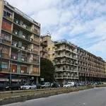 Rent 6 bedroom apartment of 164 m² in Messina