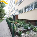 Rent 2 bedroom apartment of 40 m² in Łódź