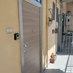 Rent 2 bedroom apartment of 46 m² in Naples