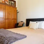 Rent 1 bedroom apartment in porto