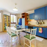 Rent 1 bedroom apartment of 39 m² in Vicenza