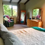 Rent 5 bedroom house in Mt Maunganui