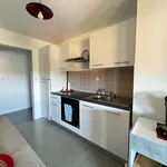 Appartement de 50 m² avec 2 chambre(s) en location à Muret