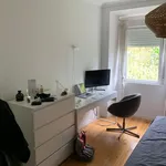 Rent 3 bedroom apartment in Lisbon