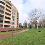 Hofdael, Geldrop - Amsterdam Apartments for Rent