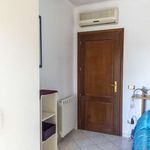 Rent a room in Roma