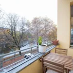 Rent 2 bedroom apartment of 80 m² in berlin