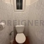 Rent 1 bedroom apartment of 44 m² in Capital City of Prague