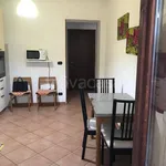 Rent 1 bedroom apartment of 20 m² in Torino