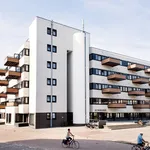 Rent 3 bedroom apartment of 94 m² in Scherpdeel